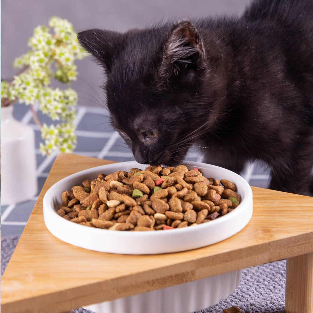 Basic Ceramic Bowl - Fatcatjoy