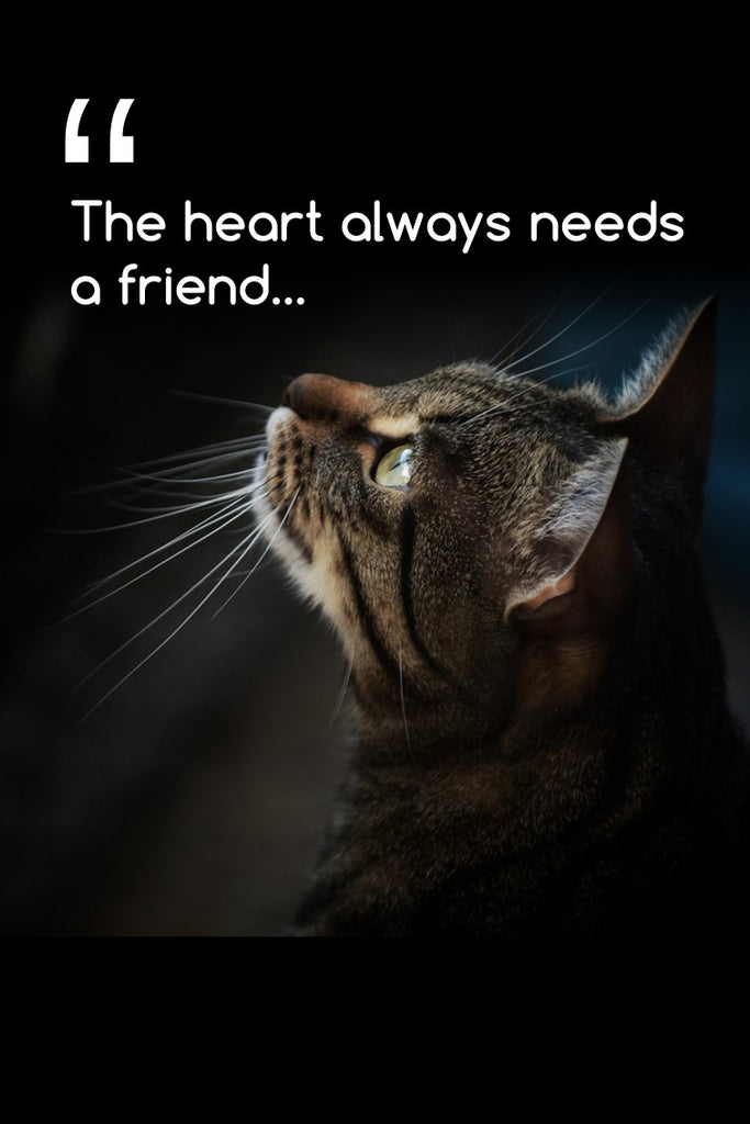 The heart always needs a friend.