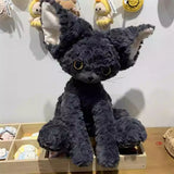 Charming Dark Grey Devon Rex（New-Release）