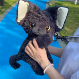 Charming Dark Grey Devon Rex（New-Release）