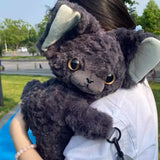 Charming Dark Grey Devon Rex（New-Release）