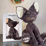 Charming Dark Grey Devon Rex（New-Release）