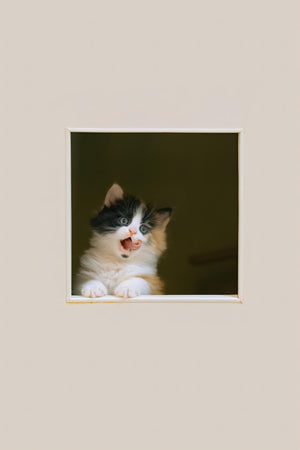 My Self-Portrait - Fatcatjoy