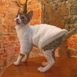 White Cat Sweater - Fatcatjoy