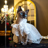Luxury Wedding Dress - Fatcatjoy