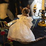 Luxury Wedding Dress - Fatcatjoy