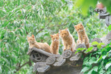 4 Cats On The Roof - Fatcatjoy