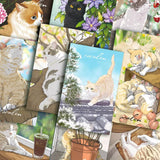 Cat Gift Cards - Fatcatjoy